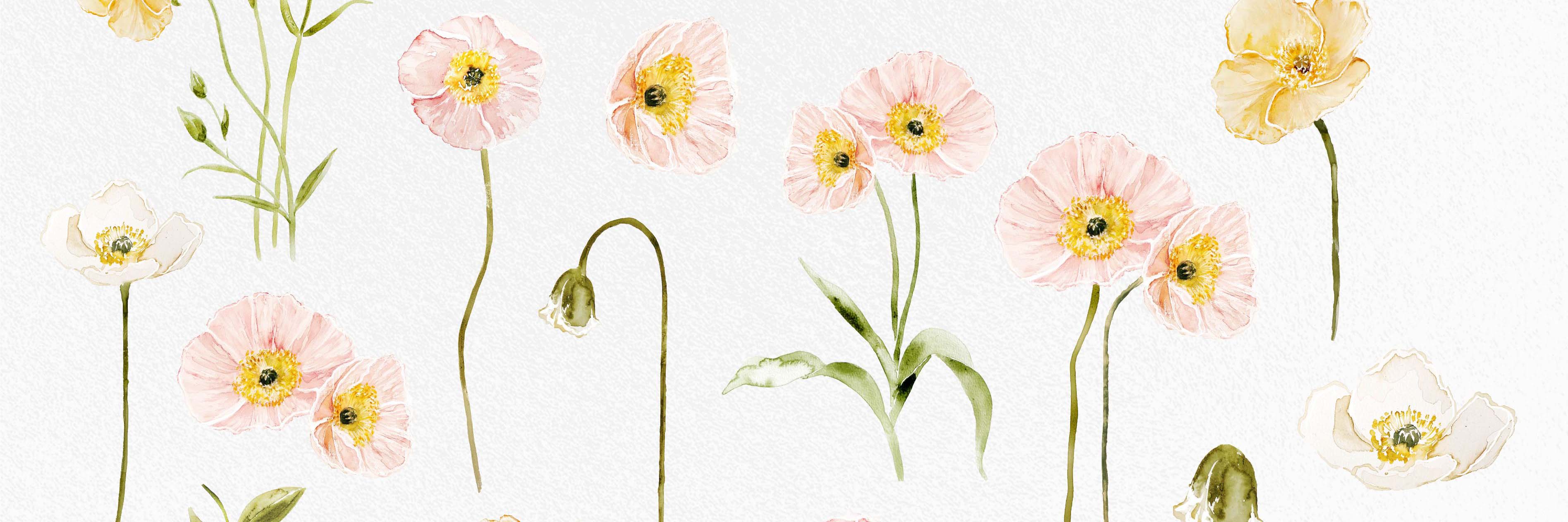 Surface Pattern Designs